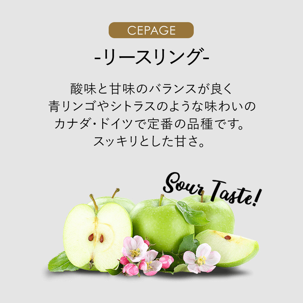 【アイスワイン】ピリテリー ラシーナ ゲヴェルツリースリング 375ml