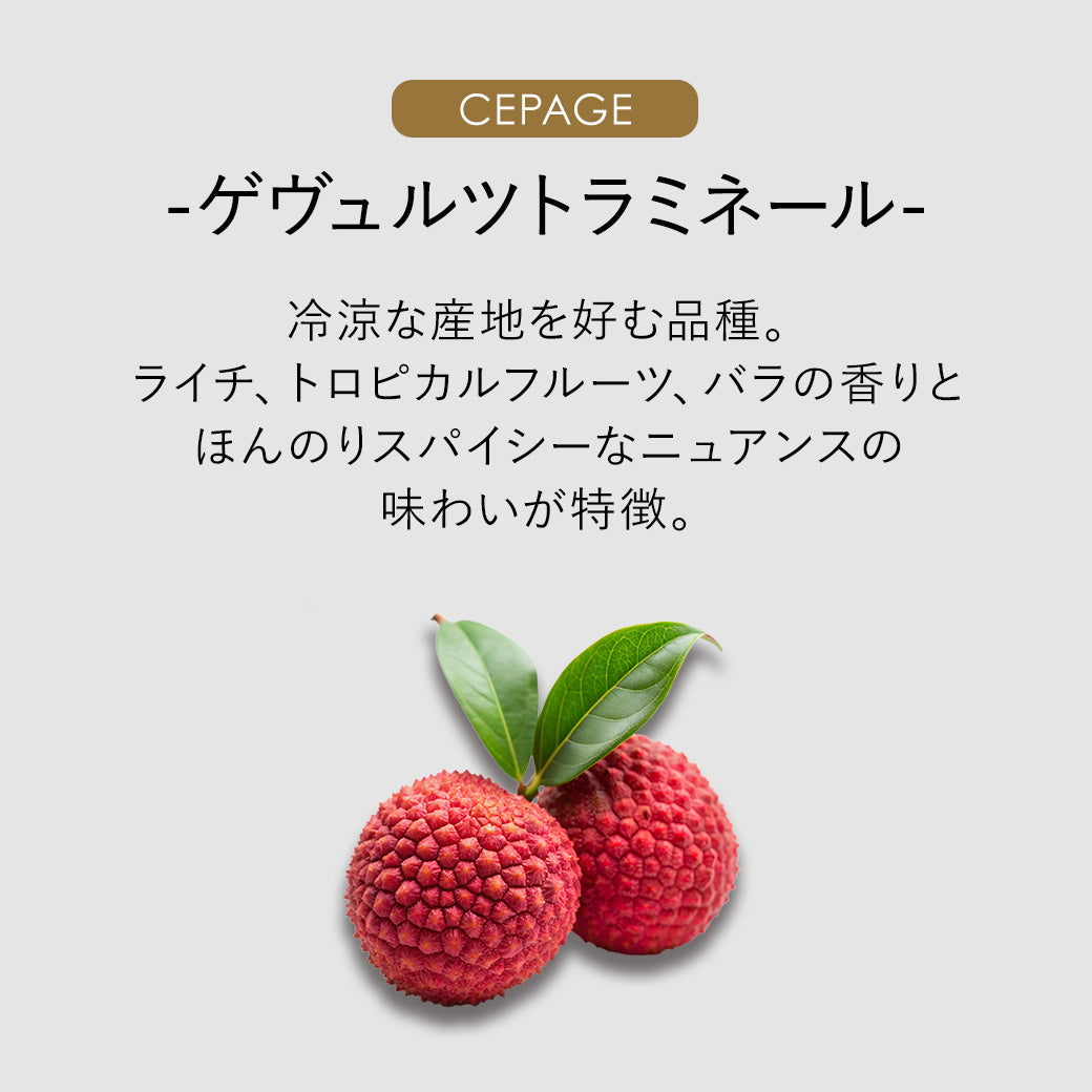 【アイスワイン】ピリテリー ラシーナ ゲヴェルツリースリング 375ml